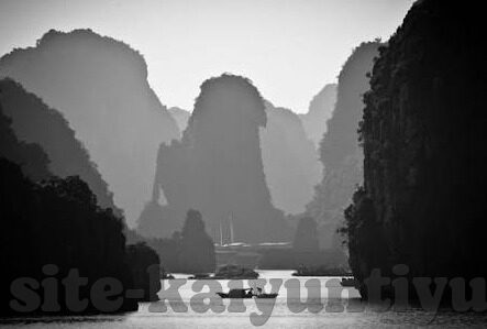 国内足球比分直播-国内足球比分直播，连接赛场与球迷的实时纽带