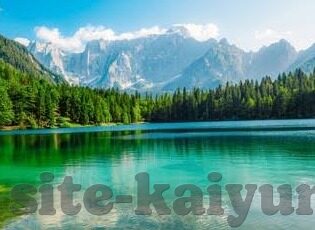 苹果手机怎么下载九游app-如何在苹果手机上下载并安装九游APP
