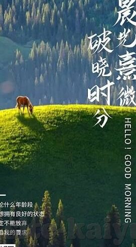 足球17095比分日期-揭秘足球17095比分背后的故事，一场经典对决的日期与回忆